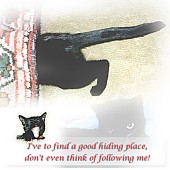 Rollover: November-December