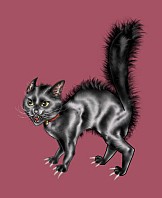 Rollover: Jimmy-Nanferatu
