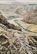 Rollover: Painting-Detail