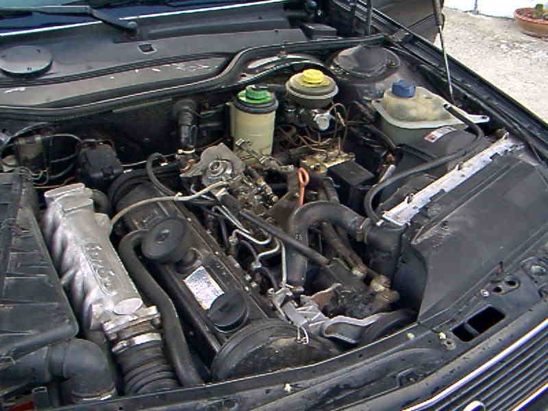 1991- Audi 100-C4(everyday car) 1990- Audi 100 avant sport quattro turbo